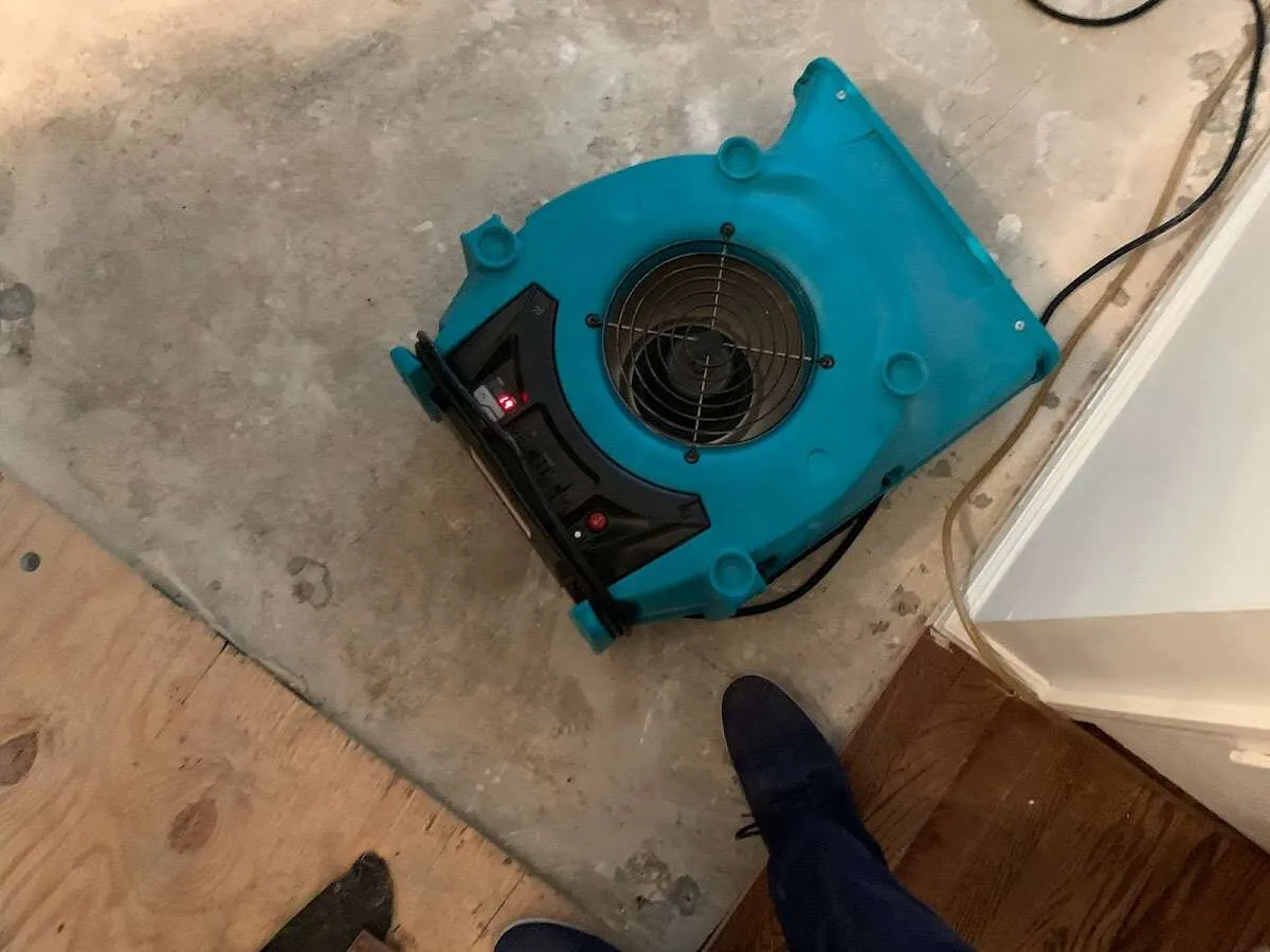 Air mover drying subfloor during Leak Detection & Repair in Gypsum